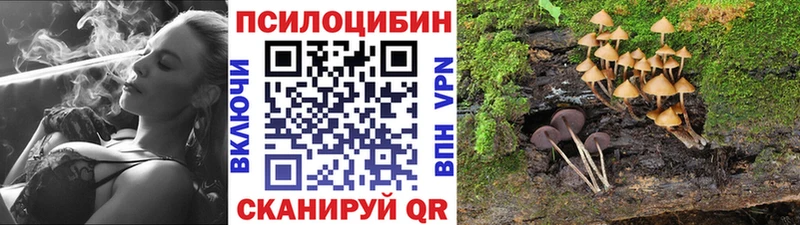 Галлюциногенные грибы Psilocybe omg ТОР Серафимович